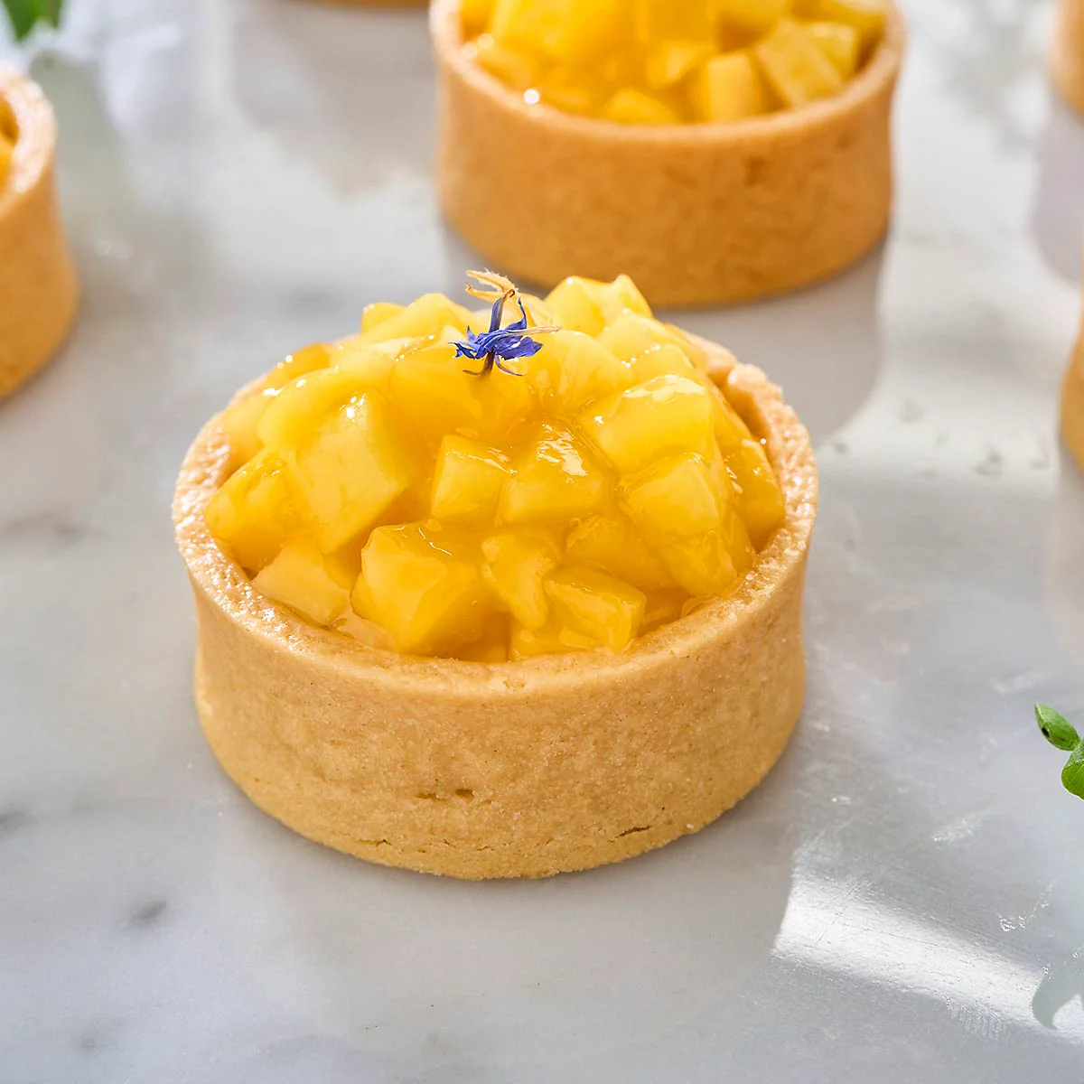 Mini Fruit Tarts (Box of 36) - Image 5