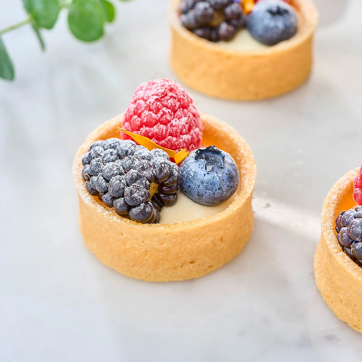 Mini Fruit Tarts (Box of 36) - Image 7